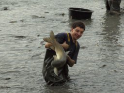 Abfischen 2006